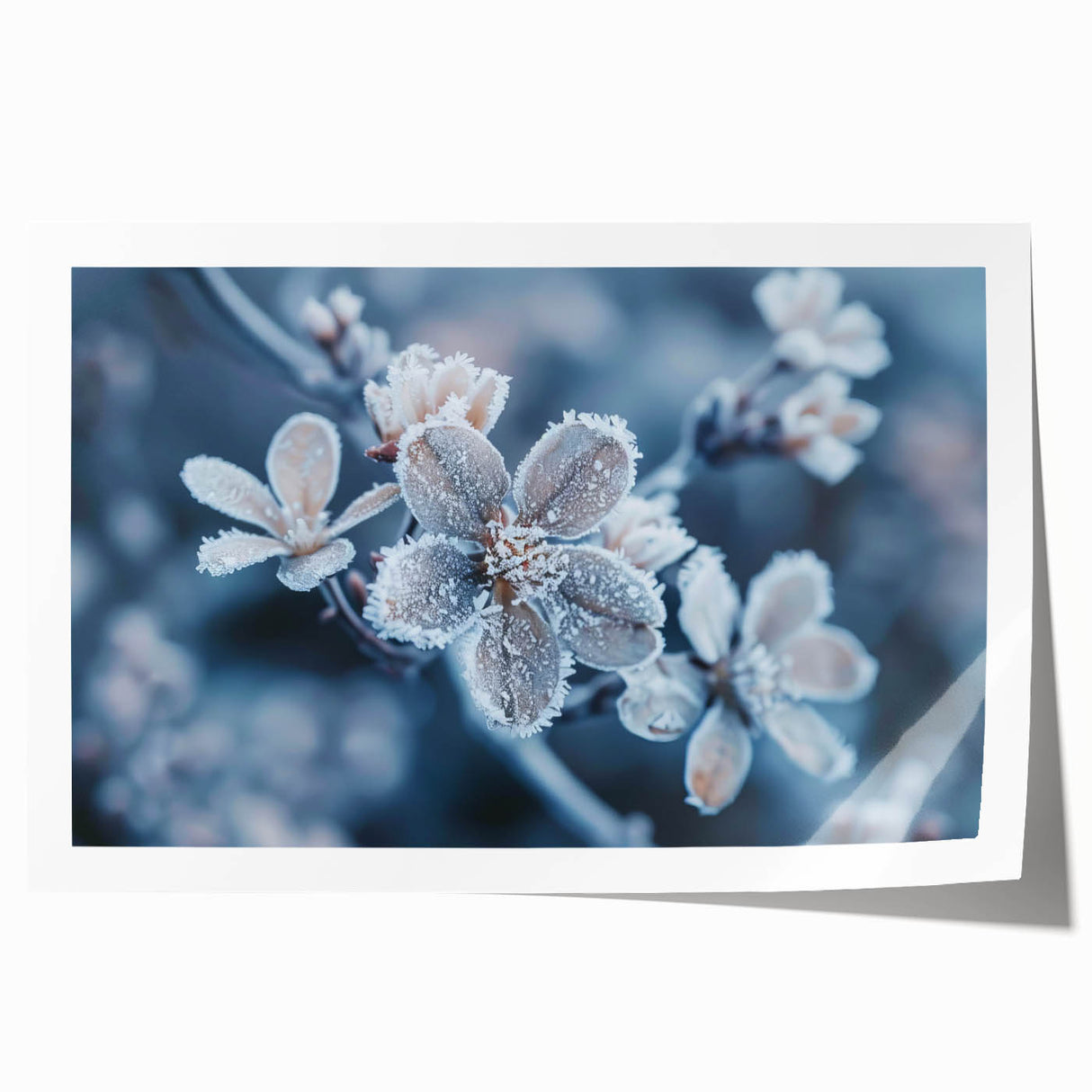 Close-up of frost patterns on ice, rendered in cool blue and white tones on a rolled print, ideal for art wall dining room.