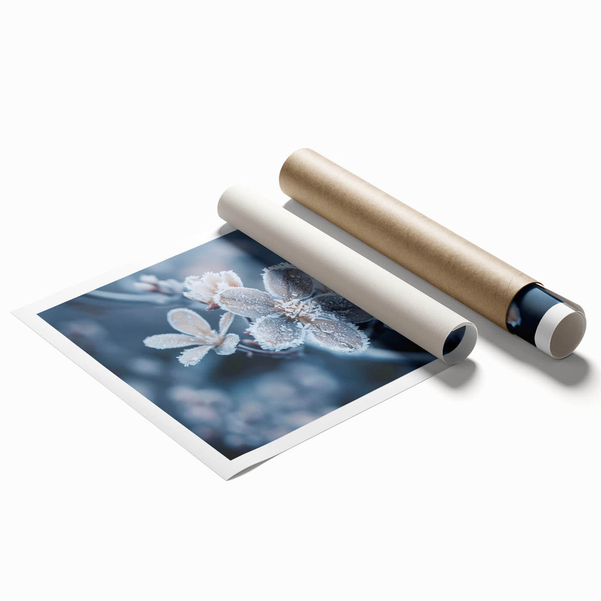 Close-up of frost patterns on a flower, in muted gray and blue tones, on a rolled print.