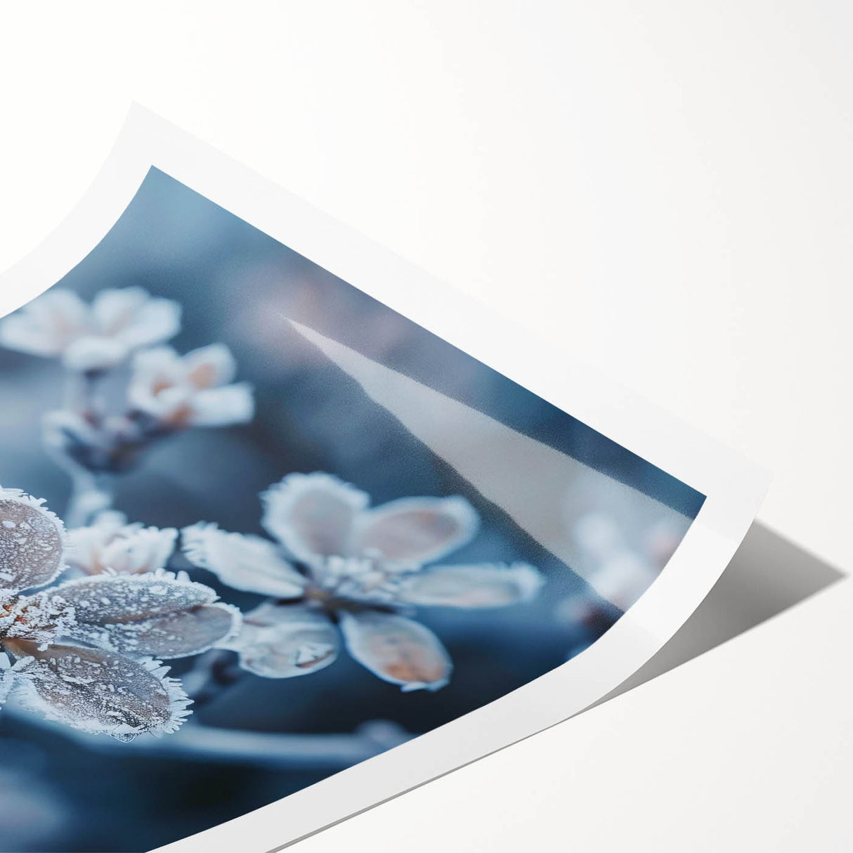 Extra large wall art featuring a close-up of frost patterns on ice, in muted blue and white tones, on a rolled print.
