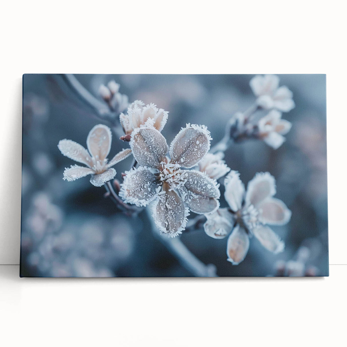 Close-up image of frost patterns in black and white on stretched canvas, ideal for kitchen wall art.