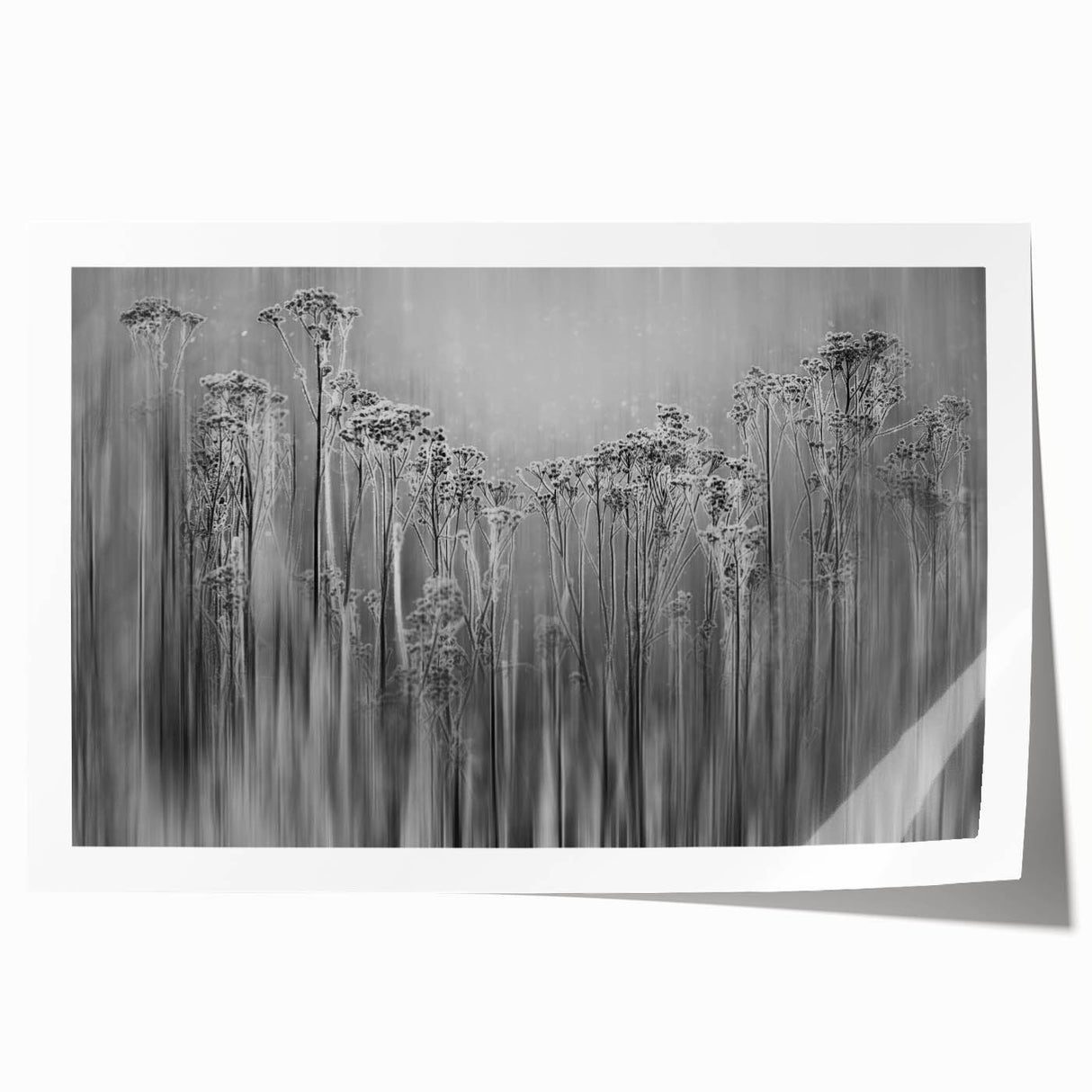 Close-up of frost patterns on ice in muted blue and white tones, extra large rolled print.