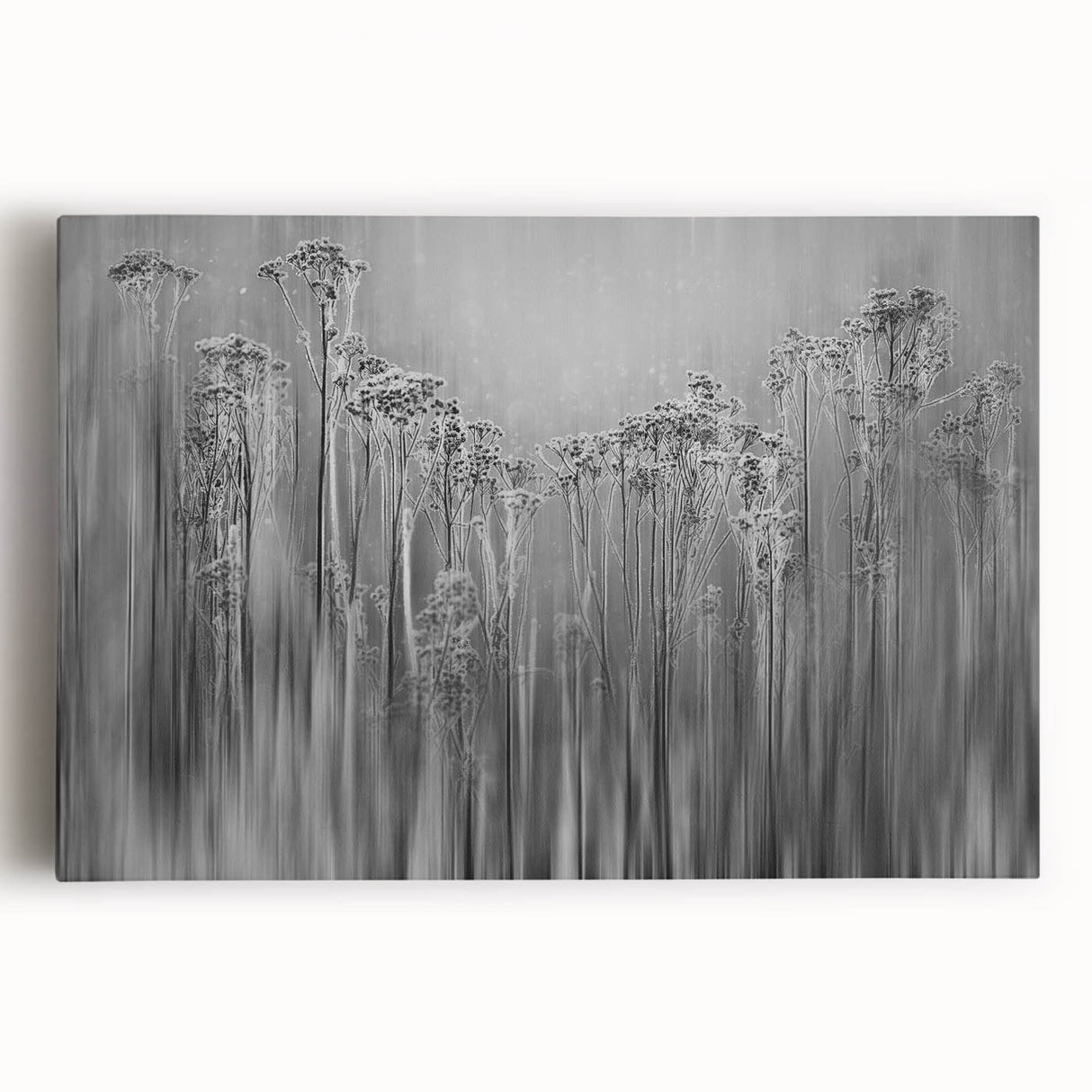 Black and white close-up photo of frost patterns on canvas, ideal for kitchen wall art.