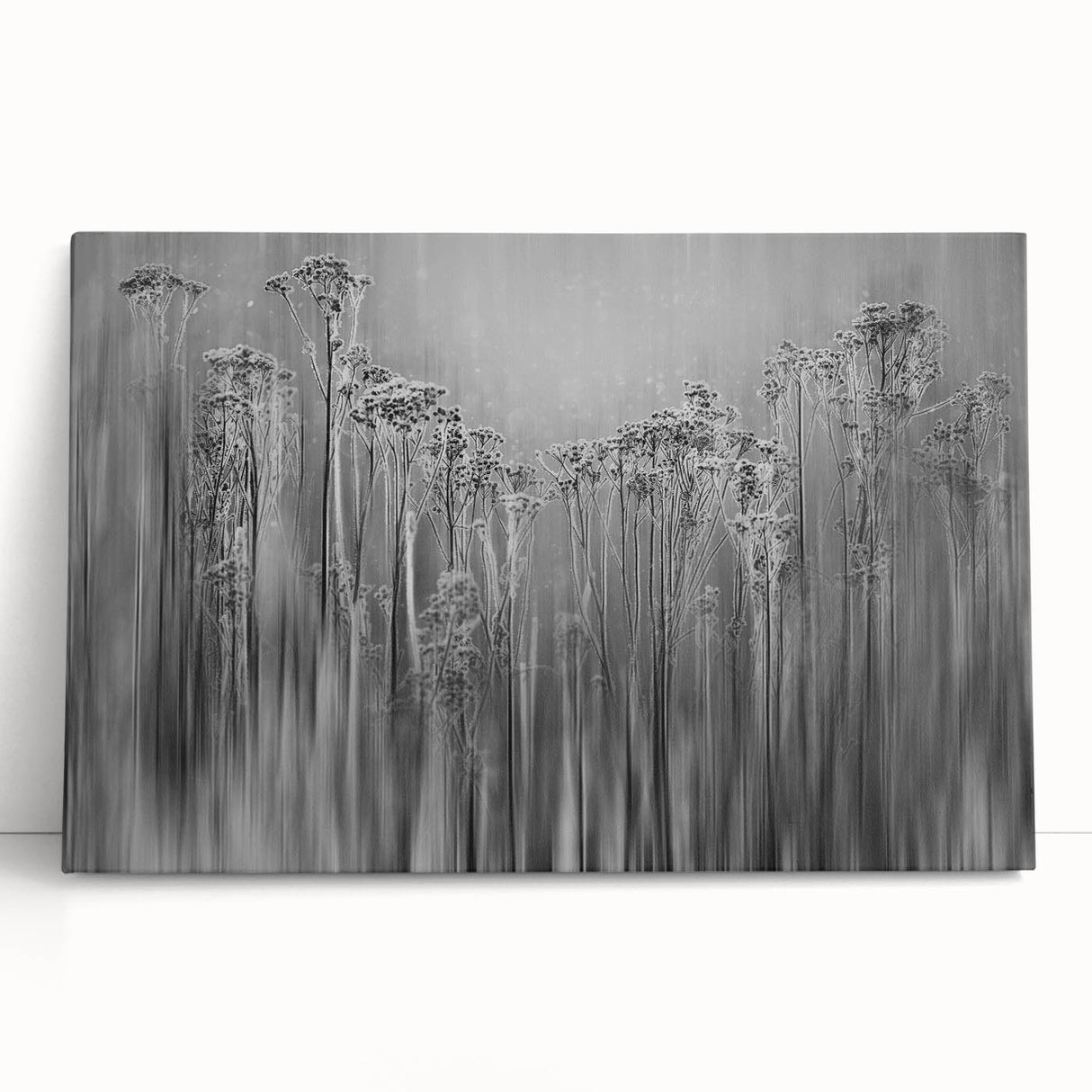 Black and white close-up of frost patterns on ice, printed on large stretched canvas.