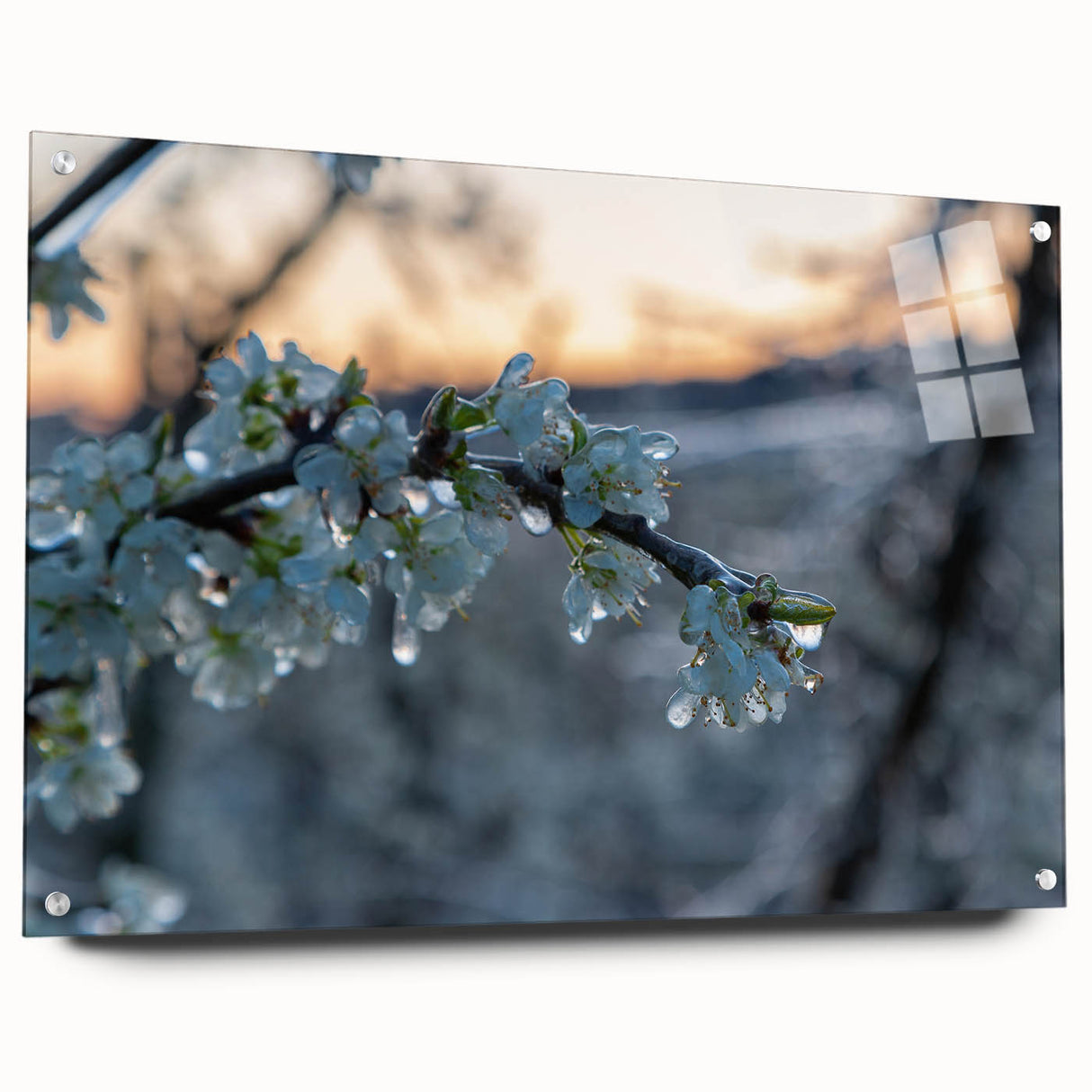 Close-up of frost patterns on glass in muted blue and white tones, acrylic print, suitable for dining room decor.