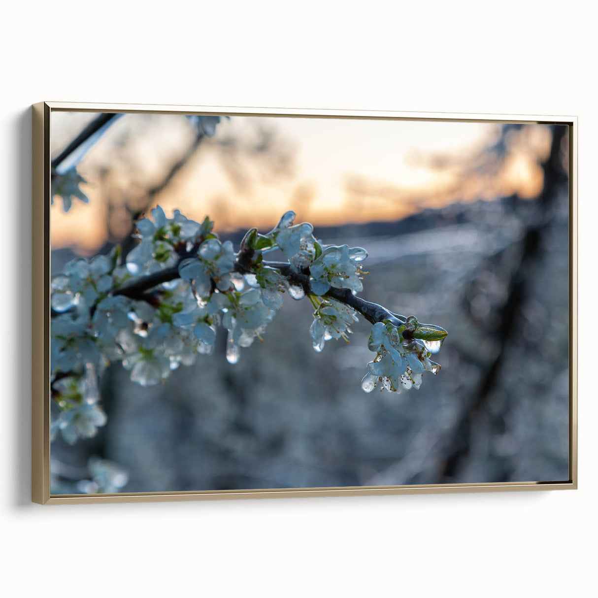 Framed canvas featuring a close-up landscape of frost patterns in gold.