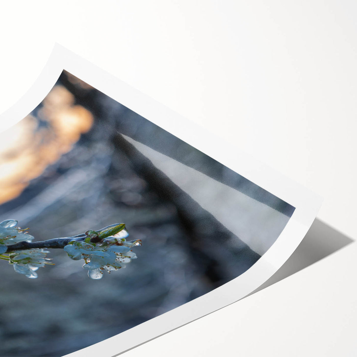 Extra large wall art featuring close-up line art of frost patterns on flowers, in cool blue tones.