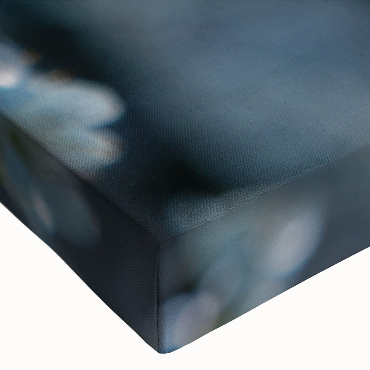 Close-up of frost patterns in black and white on stretched canvas, suitable for bedroom wall art.