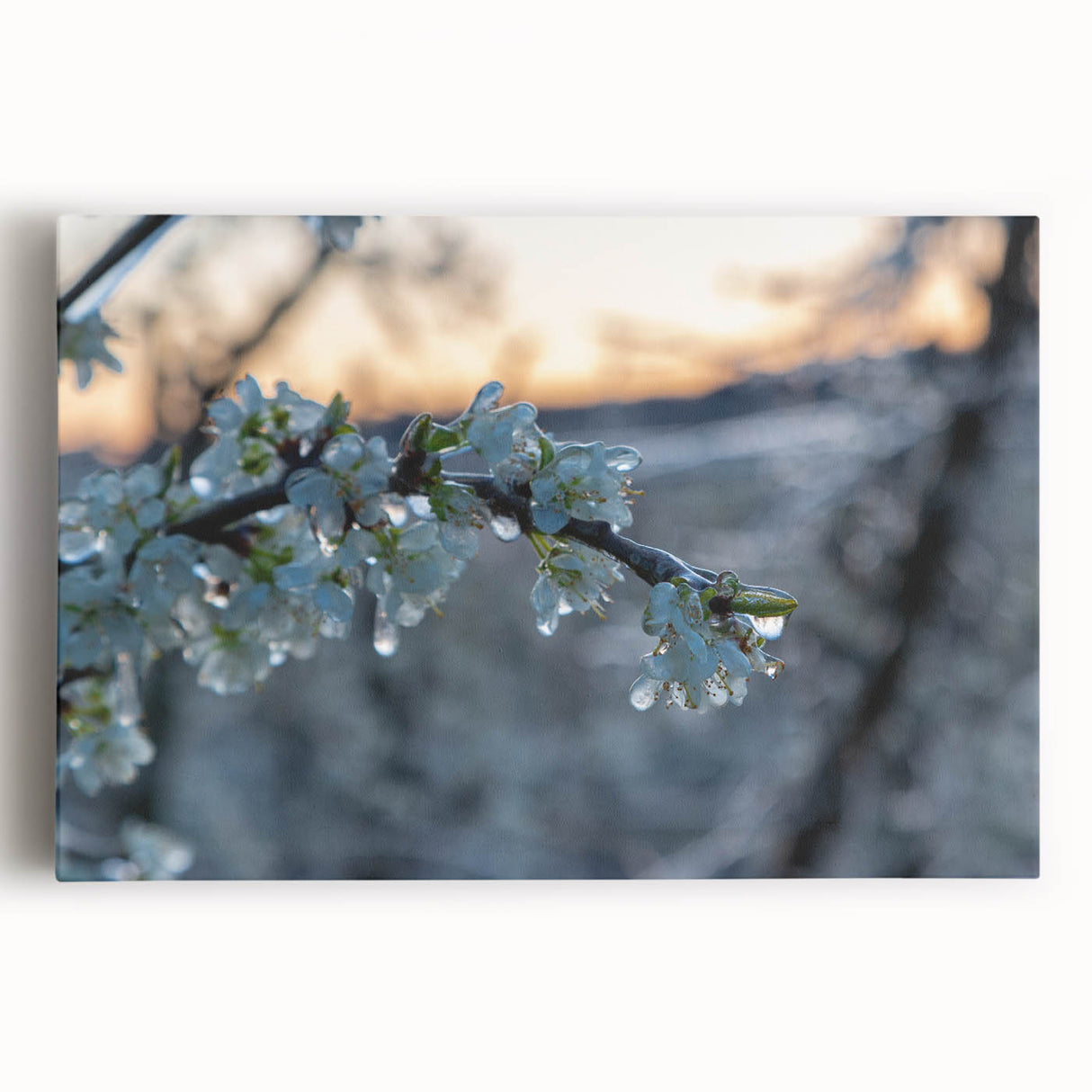 Close-up of frost patterns in black and white on a large stretched canvas, ideal for kitchen wall art.