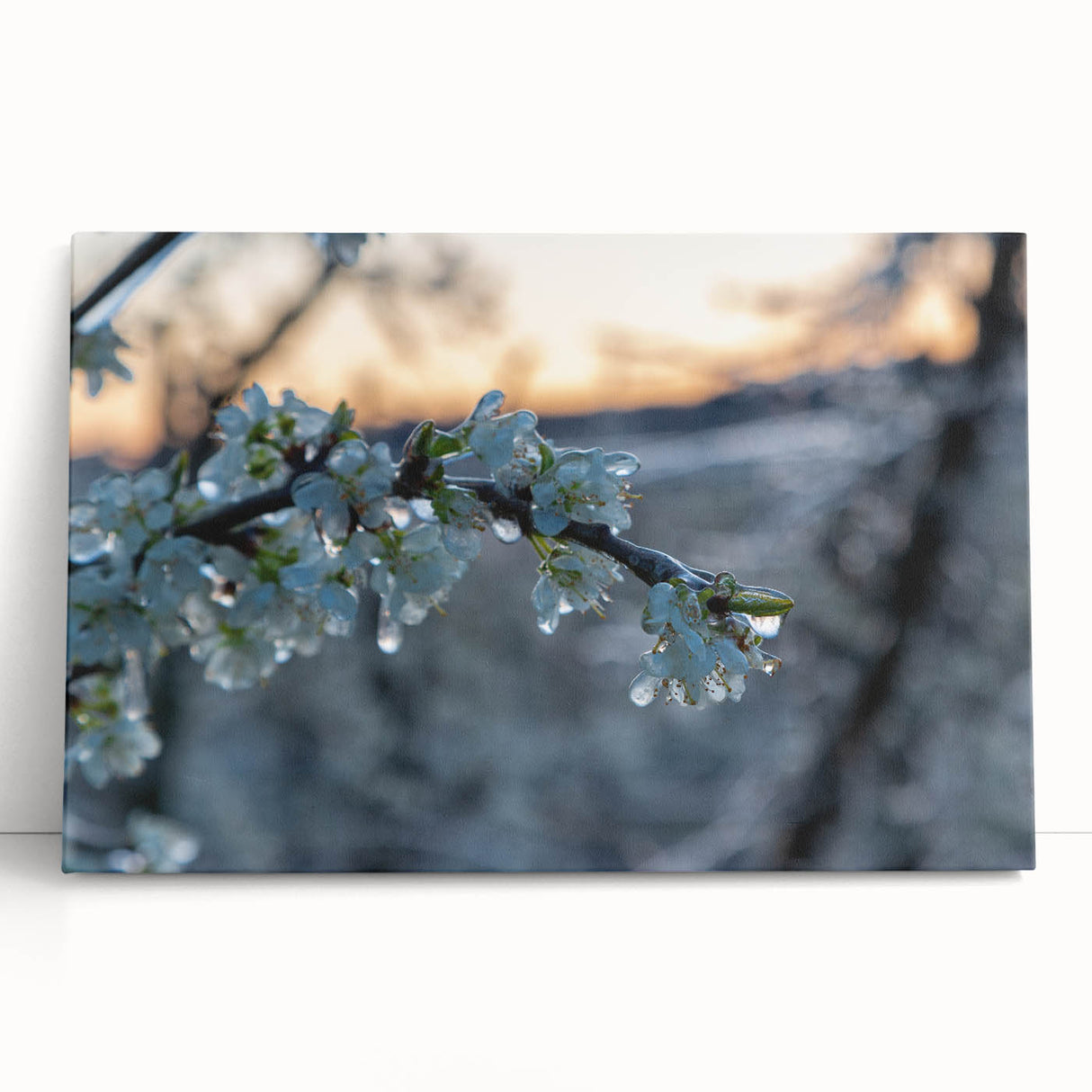 Black and white close-up photo of frost patterns on canvas, ideal for kitchen wall art or bedroom ambiance.