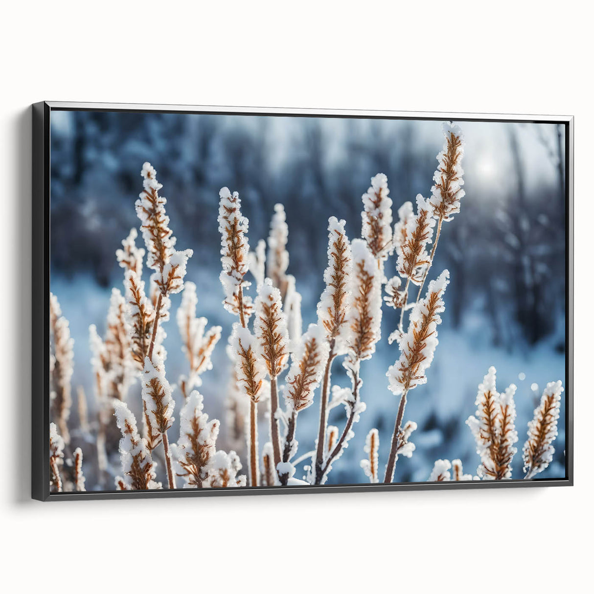 Black and white framed canvas featuring a close-up of frost patterns, ideal for bedroom wall art in a vintage style.