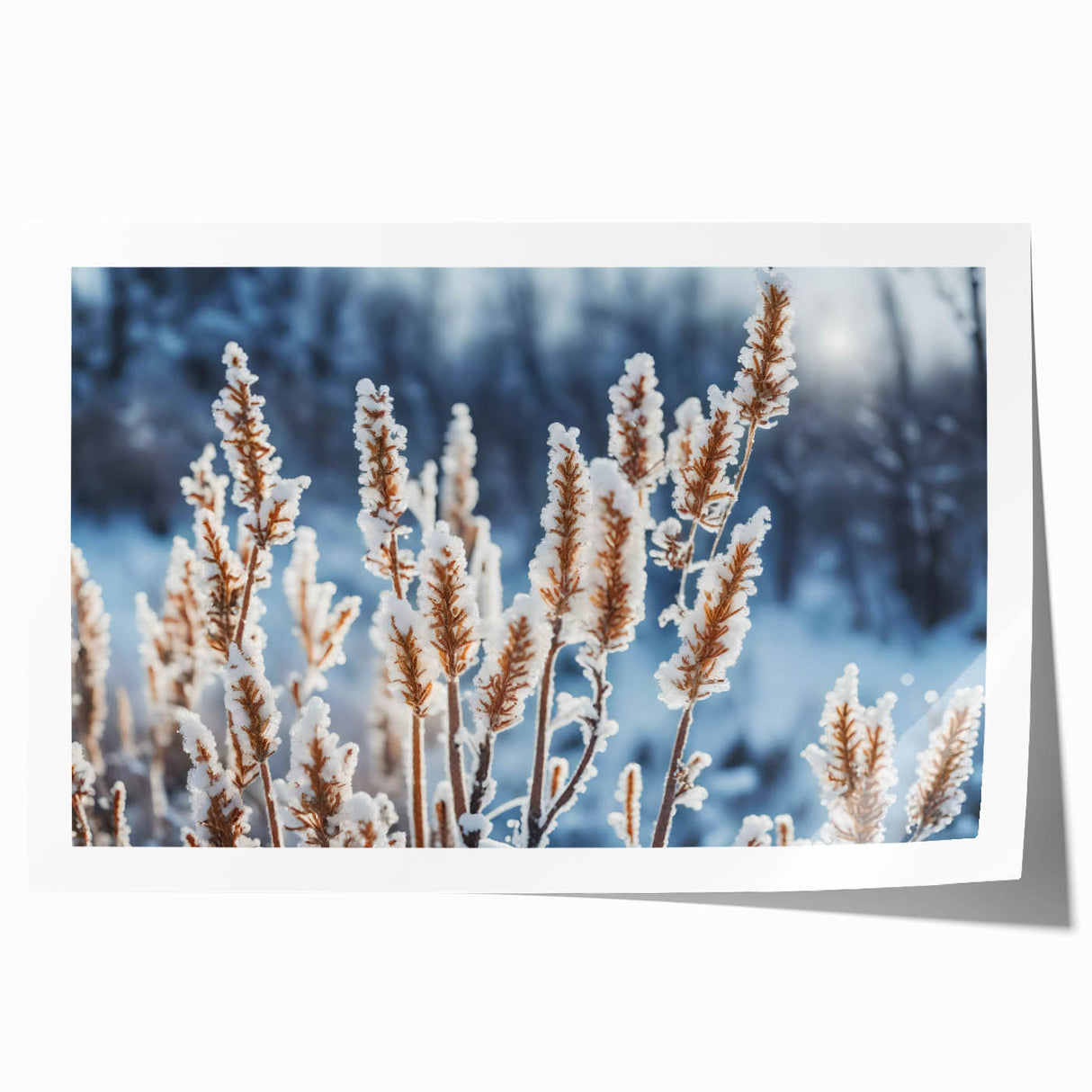 Close-up image of frost patterns on ice in muted blue and white tones, rolled print.