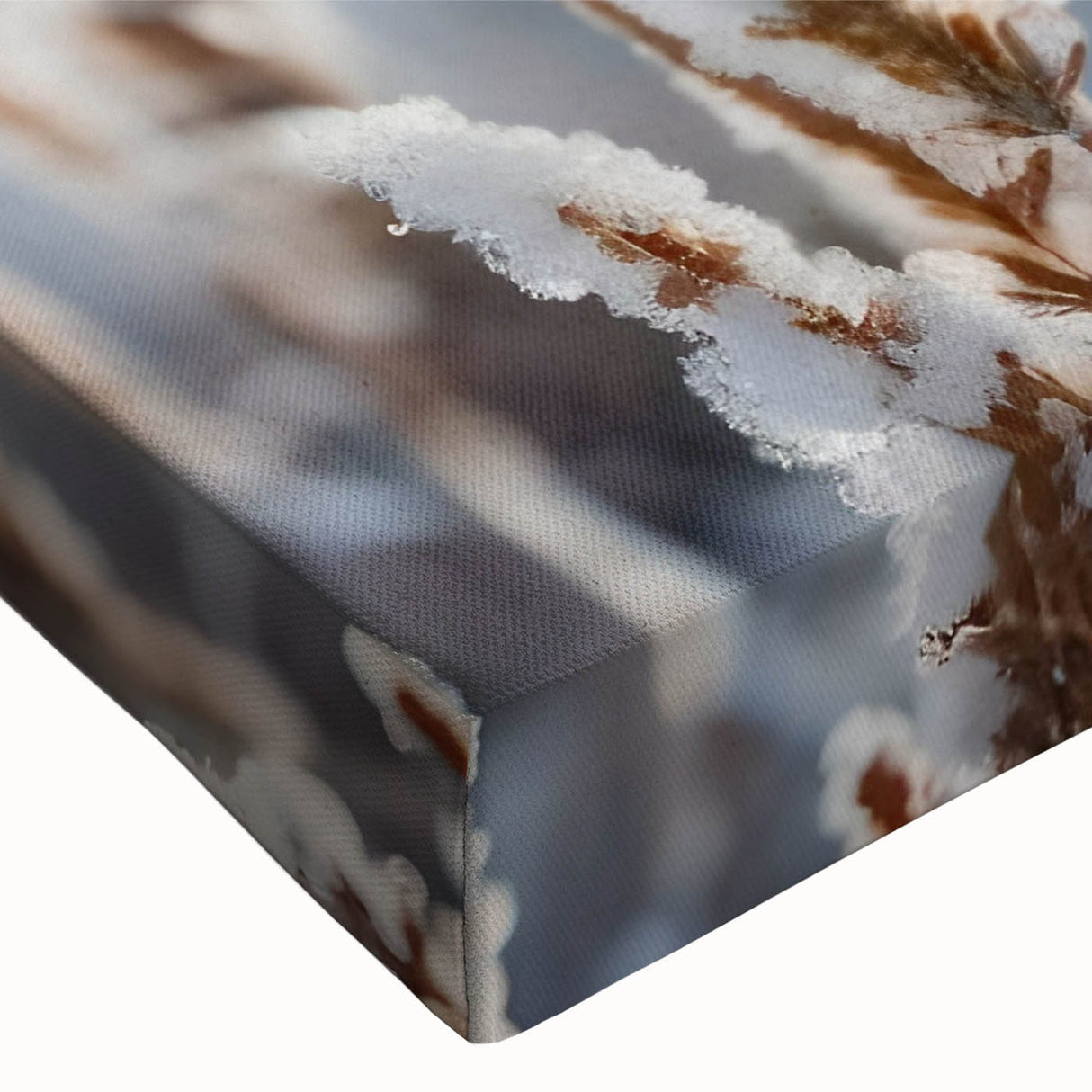 Black and white close-up of frost patterns on ice, printed on large stretched canvas, suitable for bedroom wall decor.