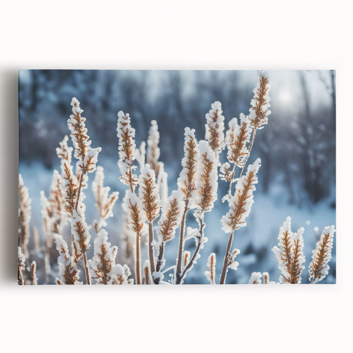 Close-up of frost patterns in black and white on a stretched canvas, suitable for kitchen wall art.