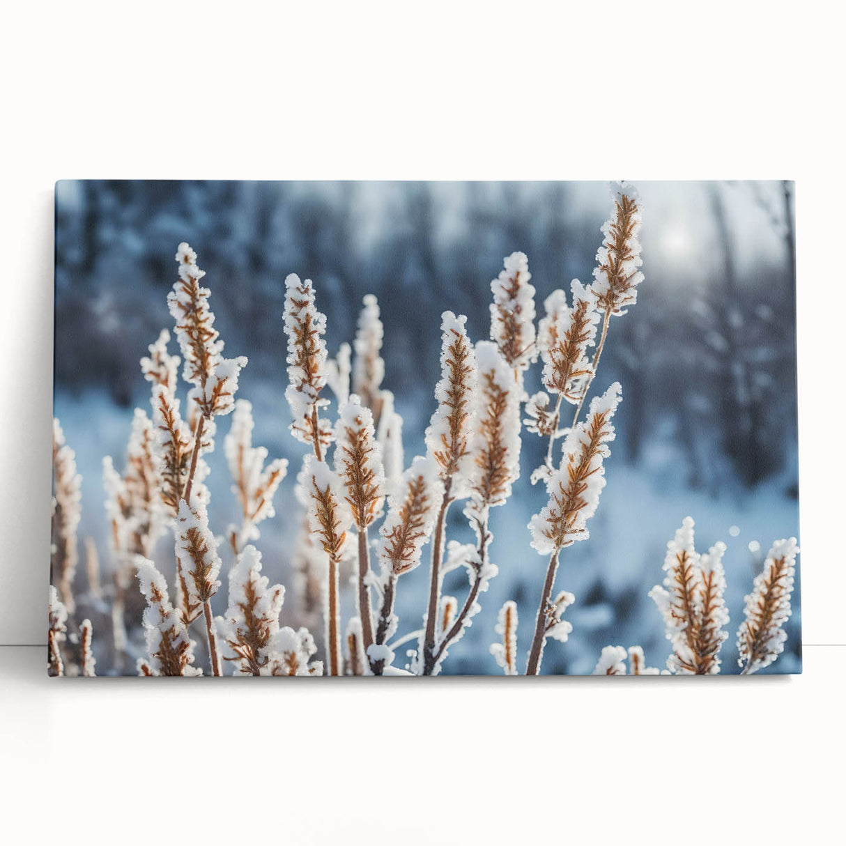 Black and white close-up photo of frost patterns on canvas, ideal for kitchen wall art or bedroom ambiance.