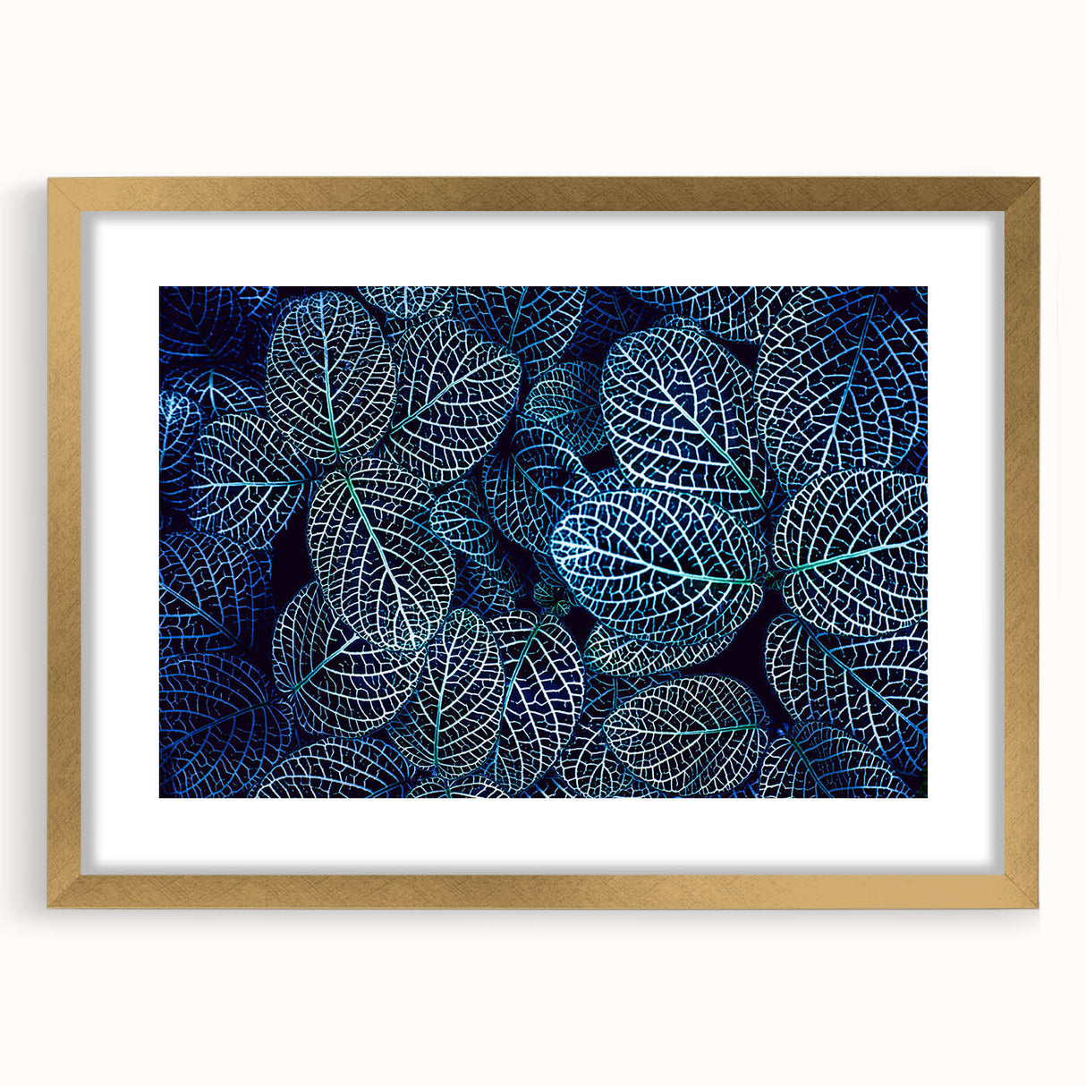 Extra large abstract art print featuring close-up of textured leaves in green and gold, framed in gold.