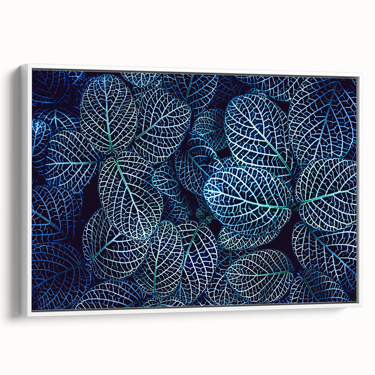 Vintage poster art of colorful leaves on a white framed canvas, ideal for living room decor.