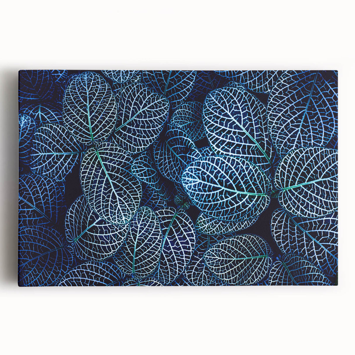 Large black and white close-up photo of leaves on a stretched canvas, suitable for kitchen wall art.