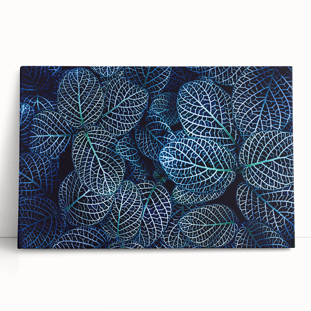 Close-up of leaves in black and white on stretched canvas, ideal for kitchen wall art or bedroom ambiance.