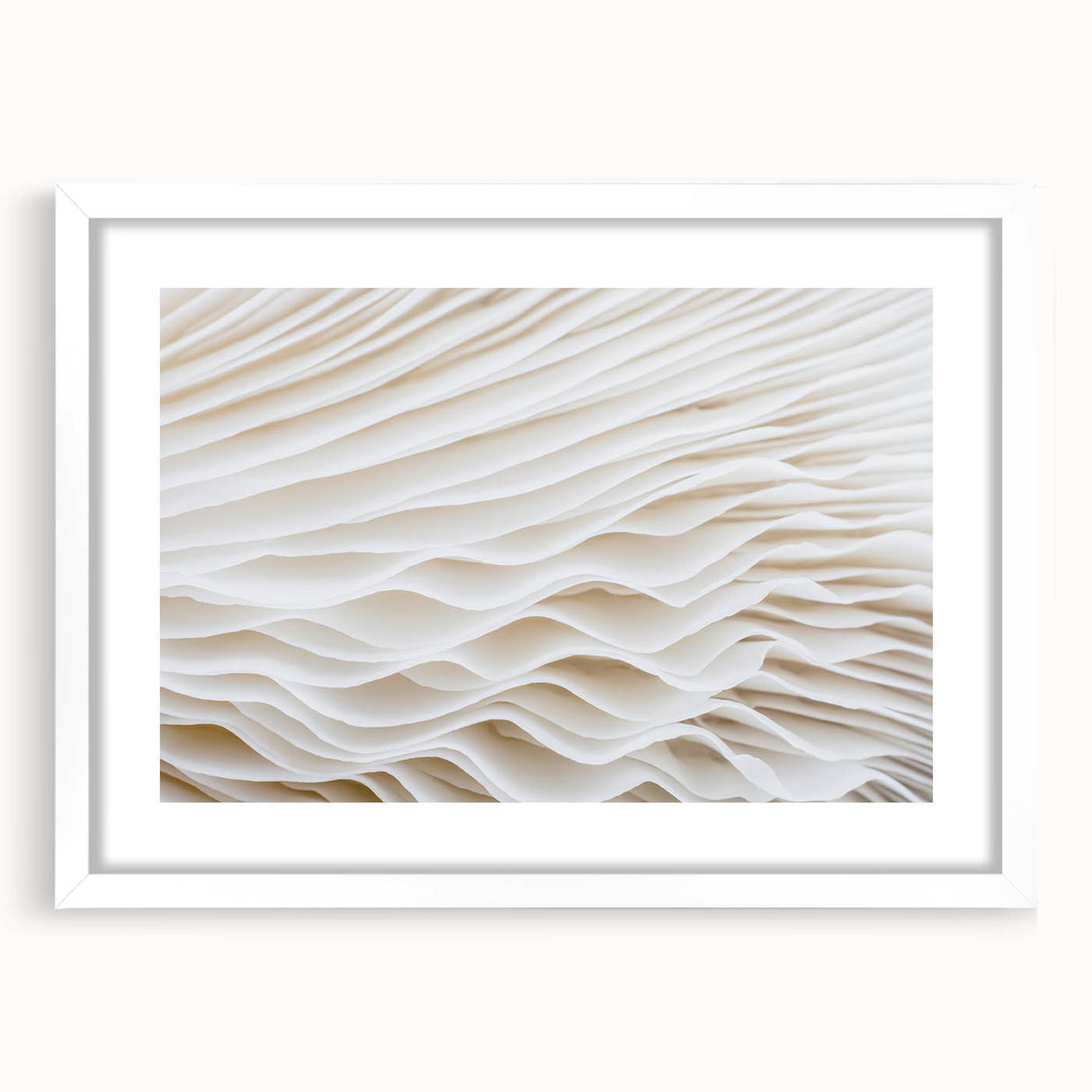 Abstract art print of close-up leaves in muted green and white, framed with a white mat.