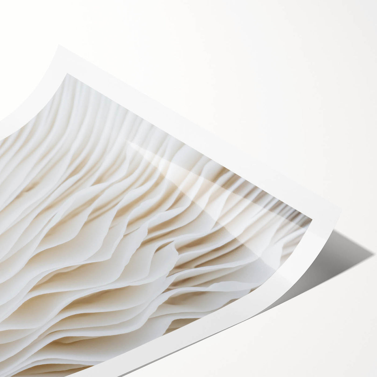 Extra large wall art featuring line art flowers on a rolled print, with muted green and white tones.