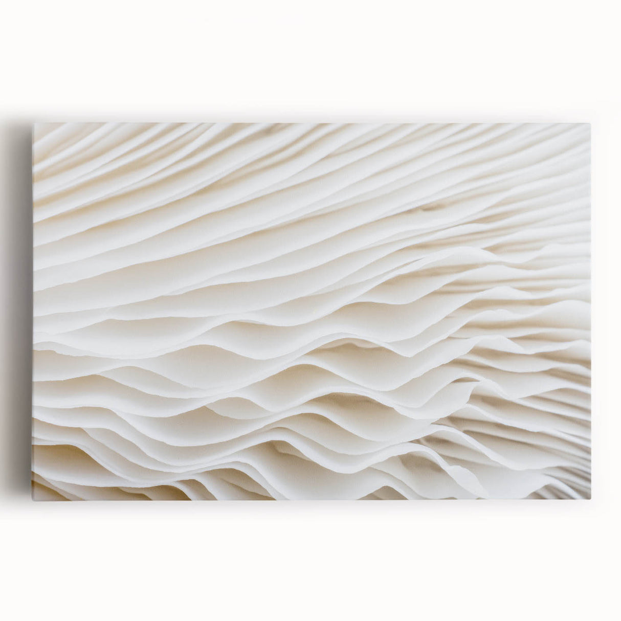 Black and white close-up of leaves on a stretched canvas, suited for kitchen wall art.