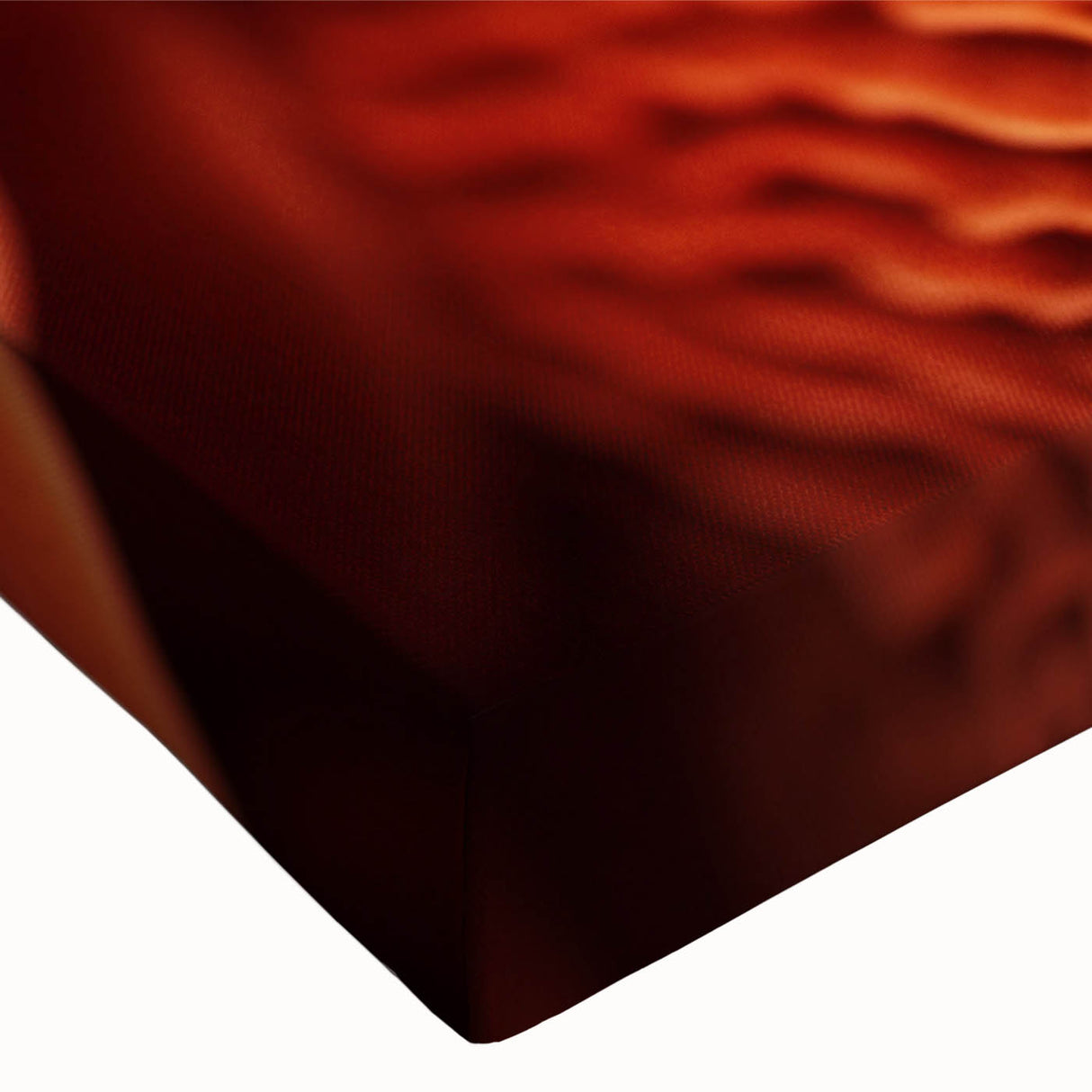 Black and white photo of a close-up leaf pattern on stretched canvas, ideal for bedroom wall art.