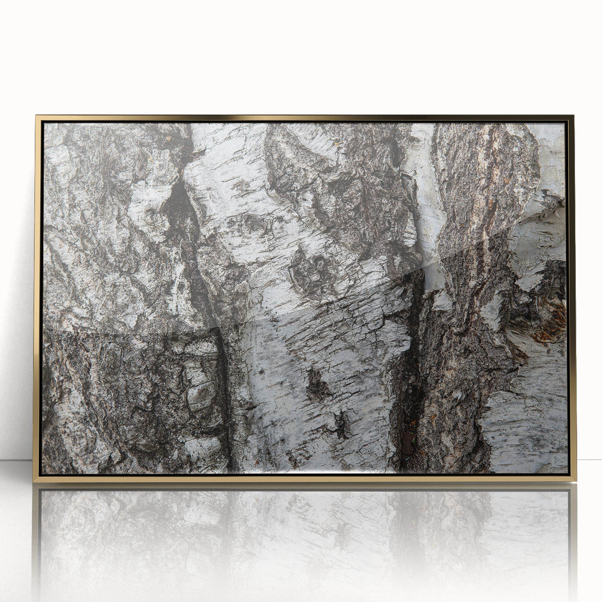Large art print featuring close-up of trees, in gold frame, ideal for modern art wall decor or nursery.
