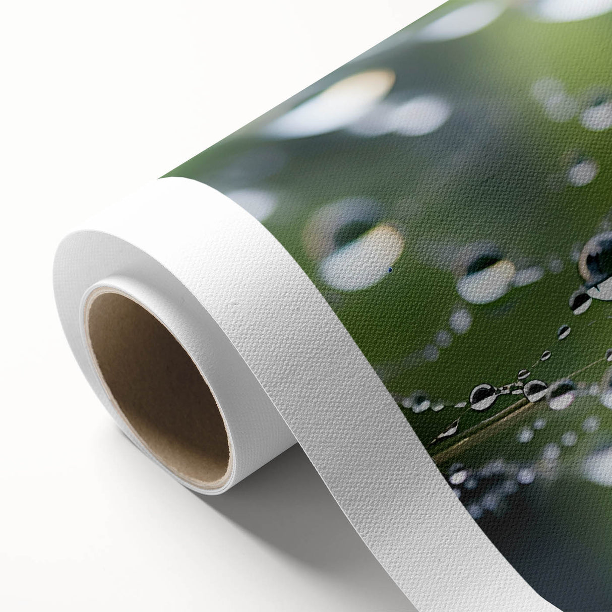 Art Deco poster featuring a close-up of water droplets on leaves, in muted green and blue tones, on rolled canvas.