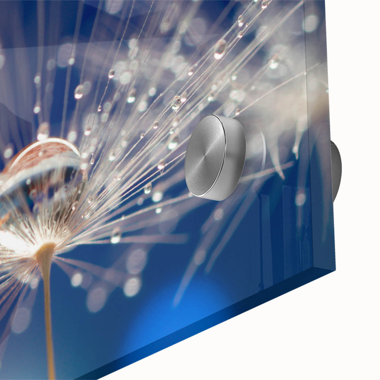 Close-up of water droplets on leaf in acrylic print, featuring cool blue and green tones.