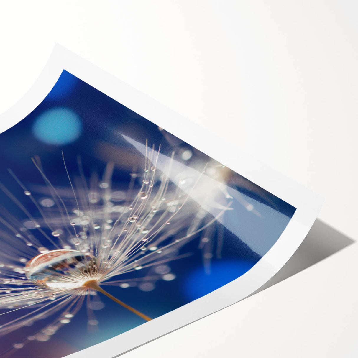 Close-up floral photography in muted blue and green tones on rolled print, suitable for large living room or bathroom decor.