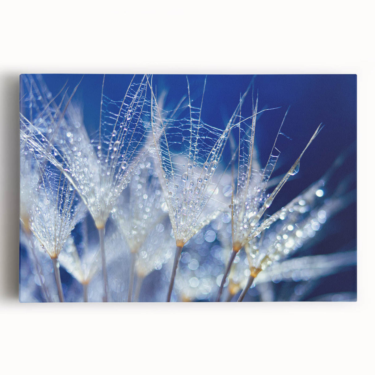 Black and white close-up of water droplets on a surface, printed on stretched canvas, suitable for kitchen wall art.