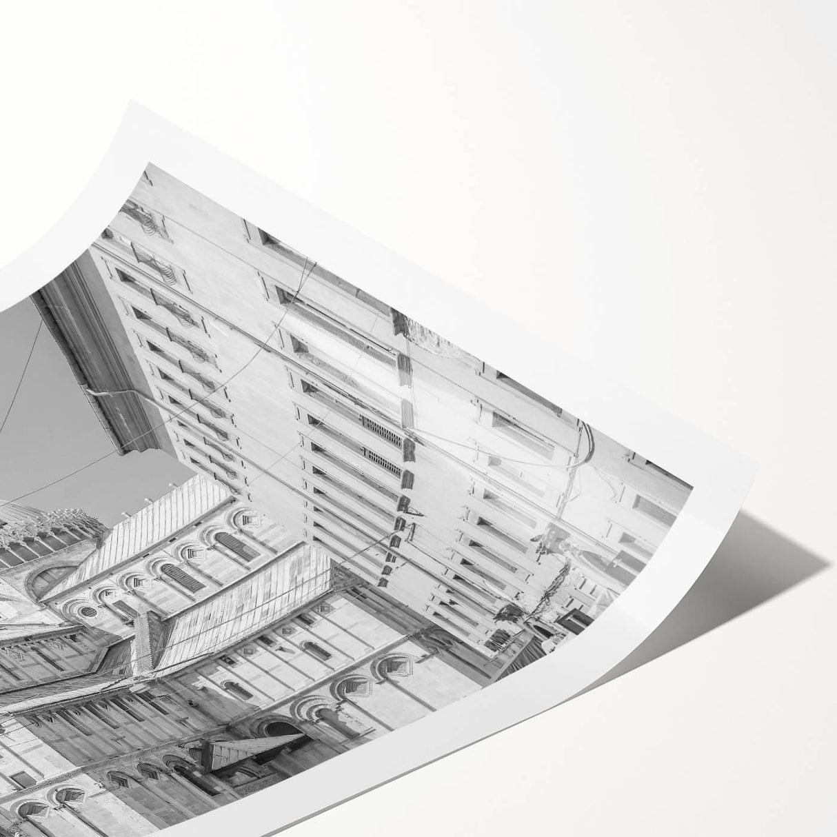 Extra large wall art featuring line art flowers in black and white on a rolled canvas, suitable for large living room decor.