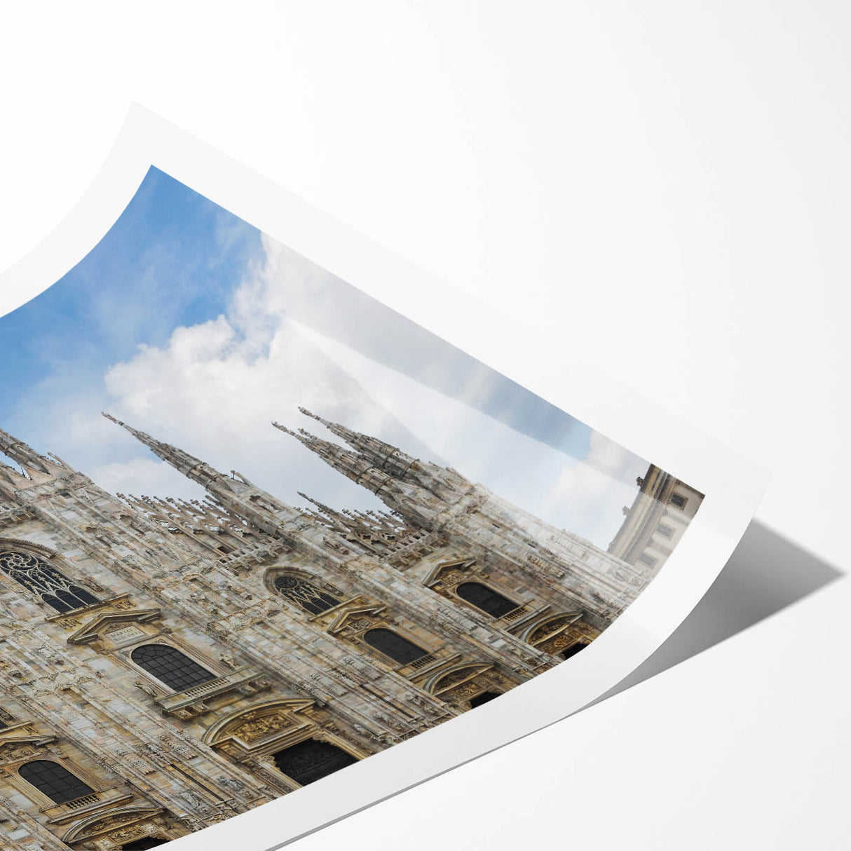 Extra large wall art featuring line art flowers in muted tones on rolled print, suitable for large living room decor.