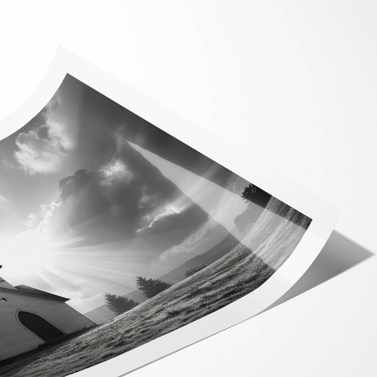 Extra large wall art featuring line art flowers in black and white on a rolled canvas, suitable for large living room decor.