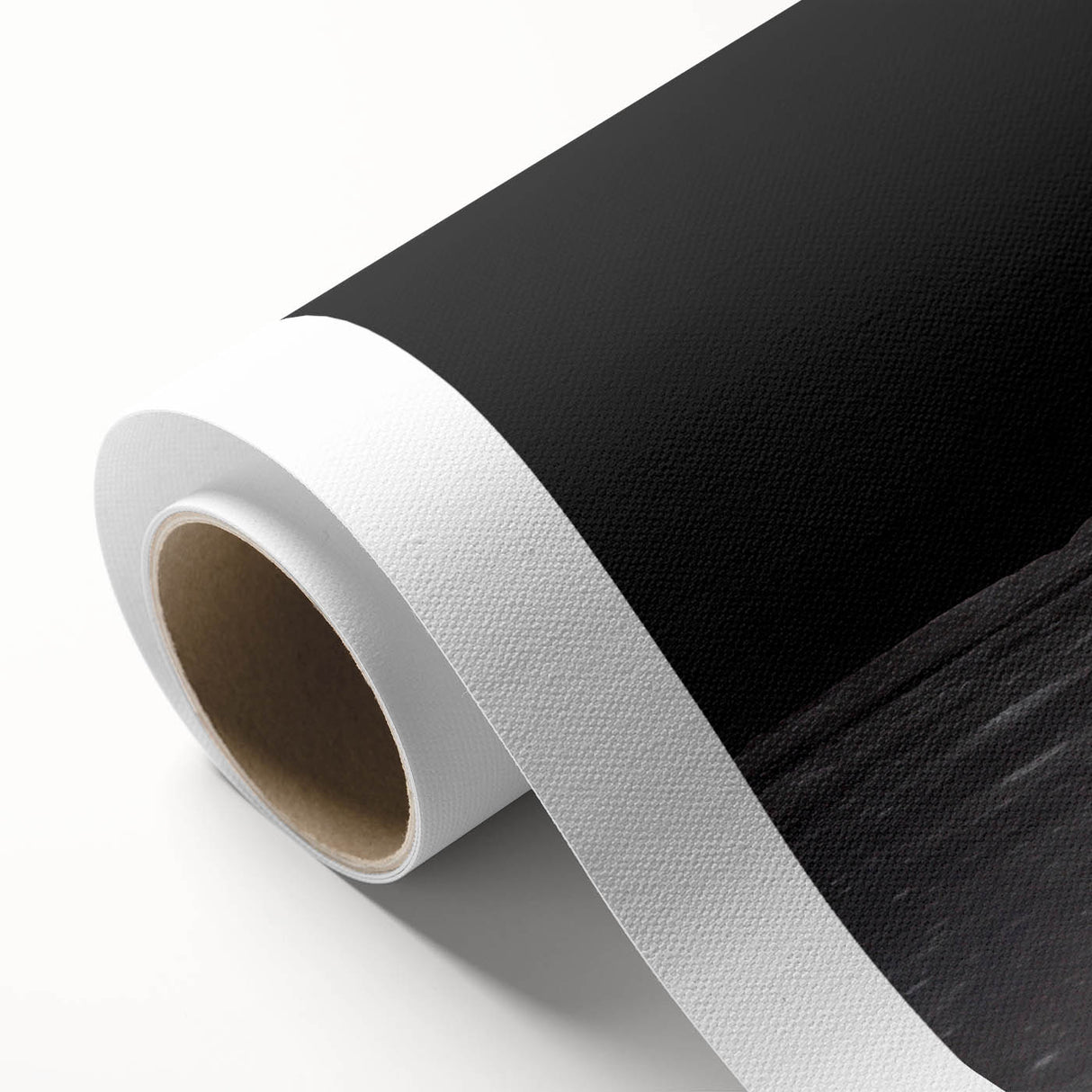 Earthrise Over the Moon Wall Art - Iconic Earth from Space Decor Print