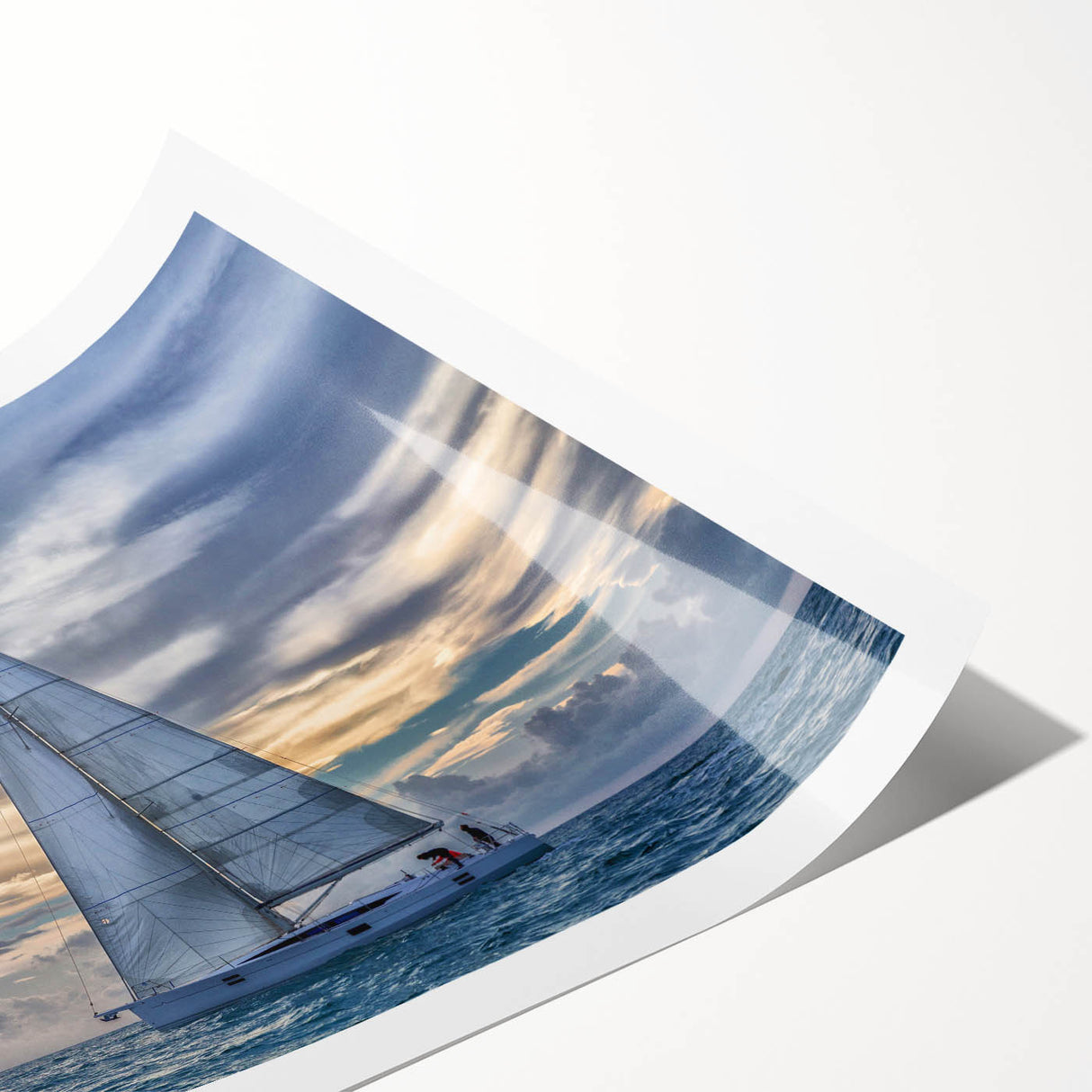 Extra large wall art featuring a minimalist line art of flowers in black on a white canvas.