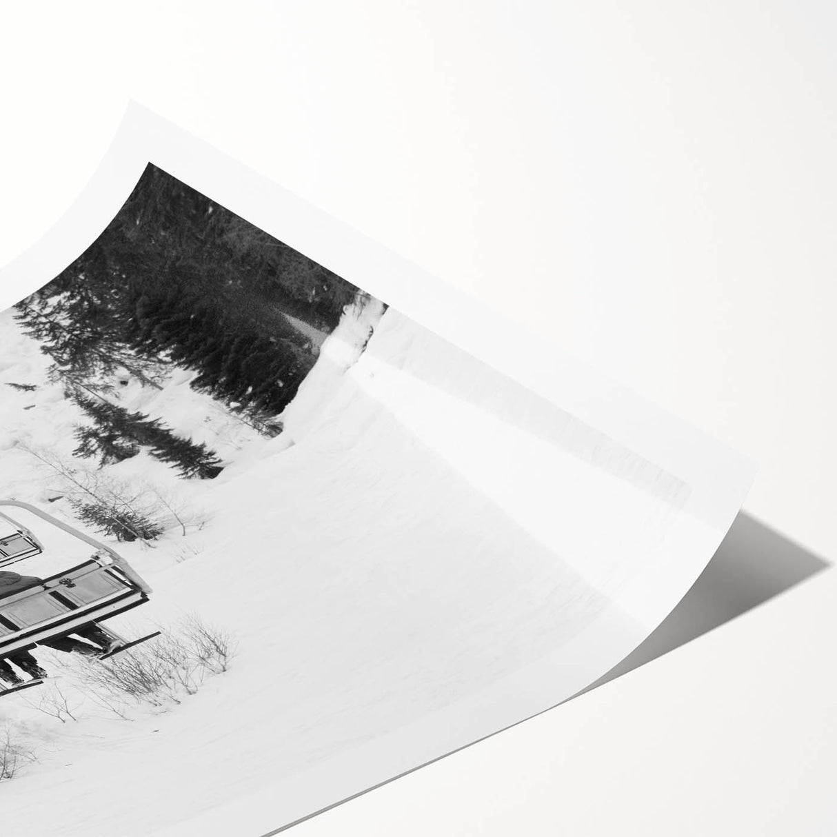 Extra large wall art featuring line art flowers in muted gray tones on a rolled print, ideal for large living room decor.