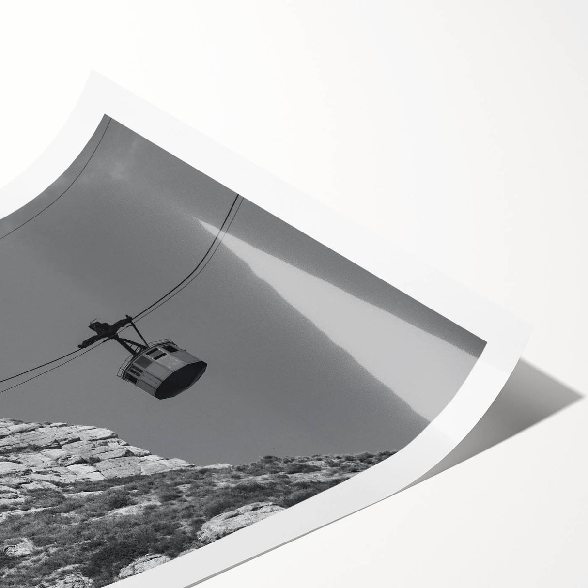 Extra large wall art featuring line art flowers in monochrome, ideal for large living room wall decor, rolled print format.