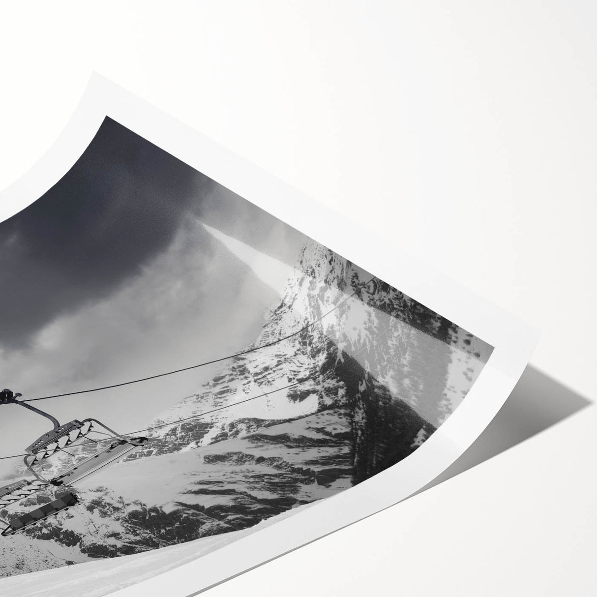 Extra large wall art featuring a line art design of flowers in black and white, printed on rolled canvas.