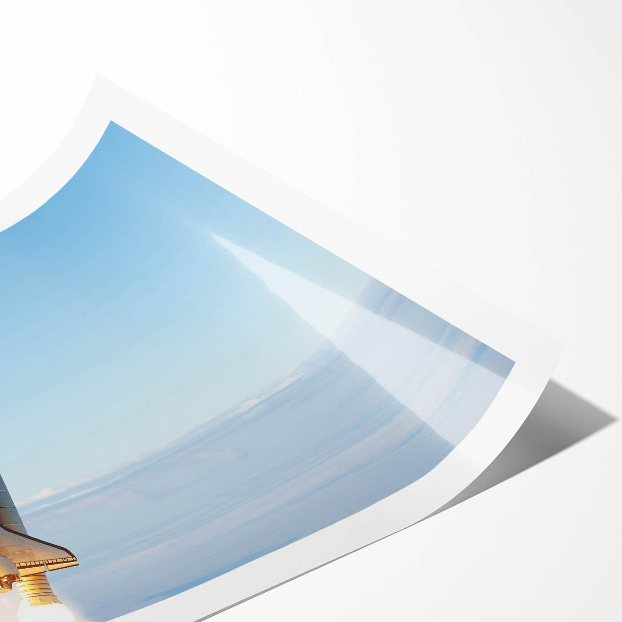 Extra large wall art featuring a line art design of flowers in black and white on a rolled print.