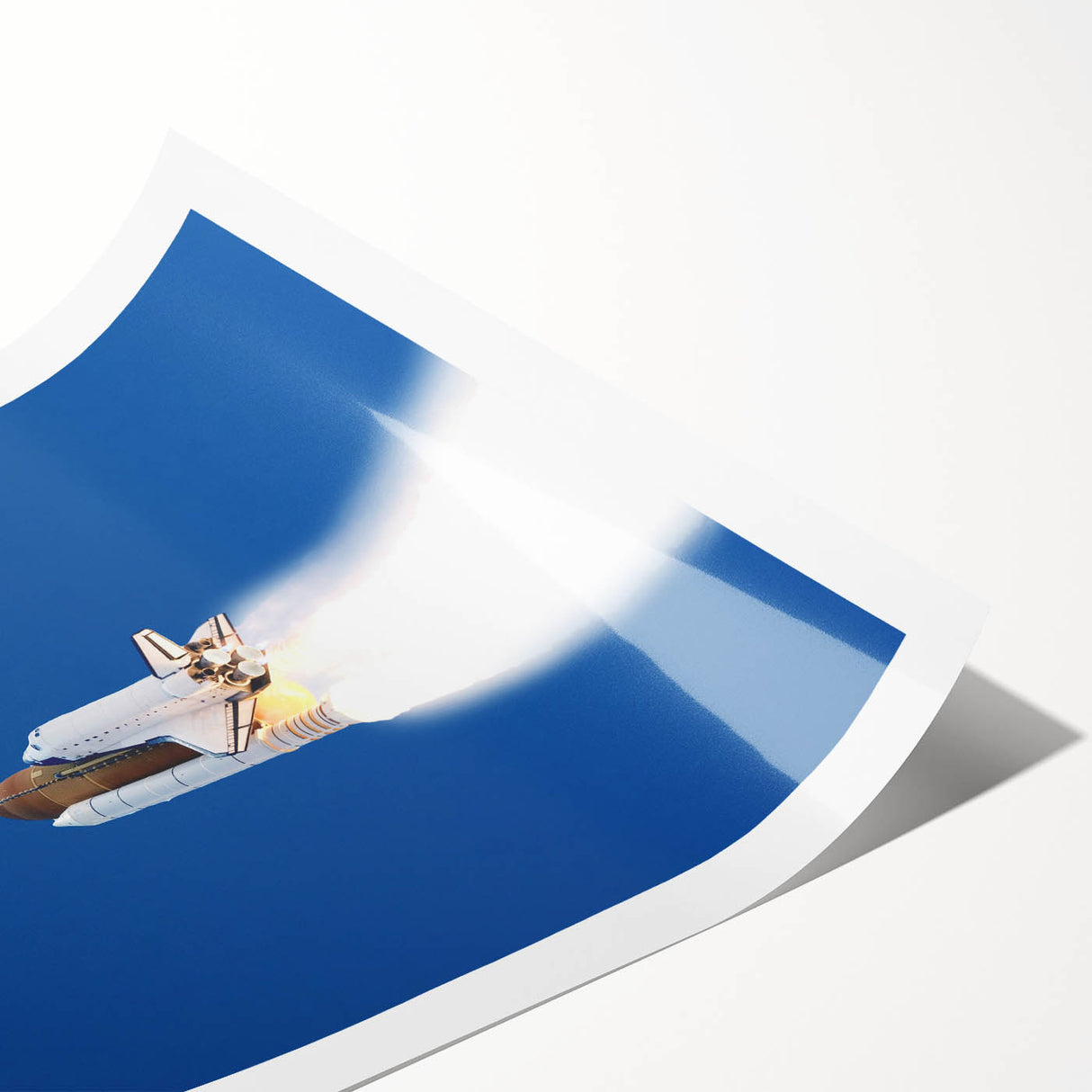 Extra large rolled print featuring line art flowers in monochrome, ideal for large living room wall art.