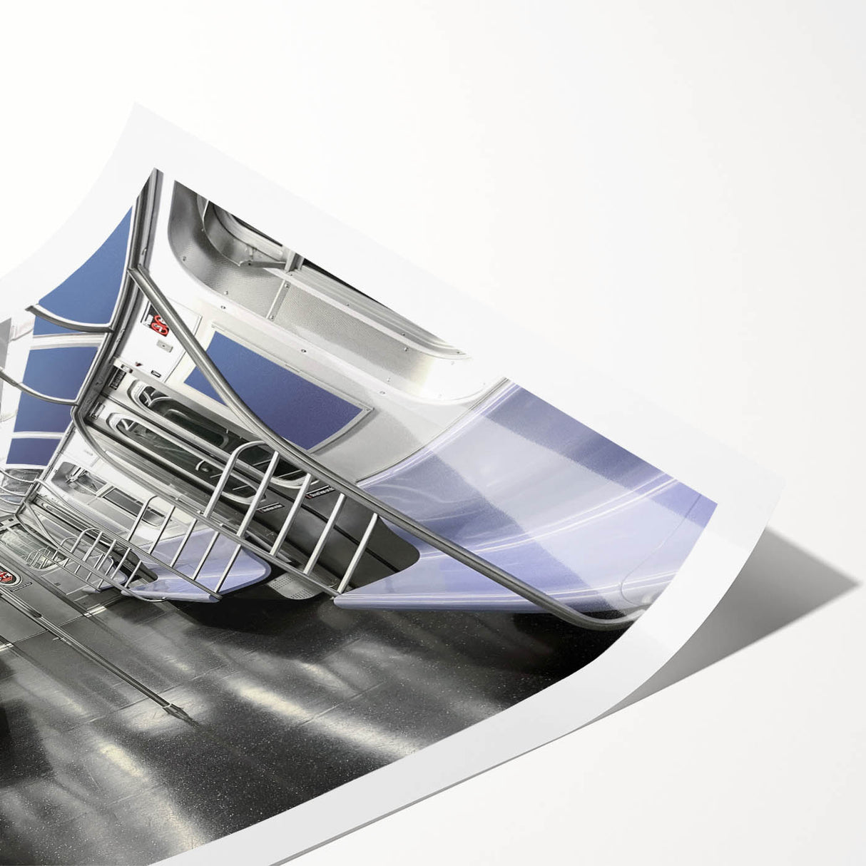 Extra large wall art featuring line art flowers in monochrome, ideal for large living room walls, rolled print format.