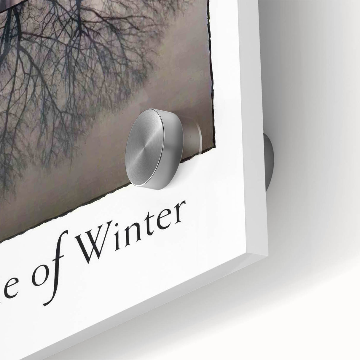 1990s Vintage Movie Poster - Classic 90s Film Art - A Tale of Winter