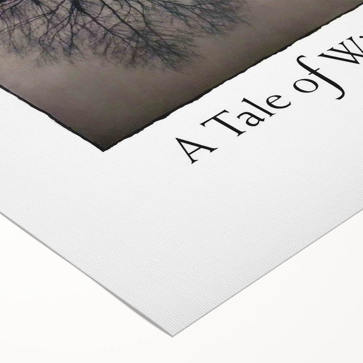 1990s Vintage Movie Poster - Classic 90s Film Art - A Tale of Winter