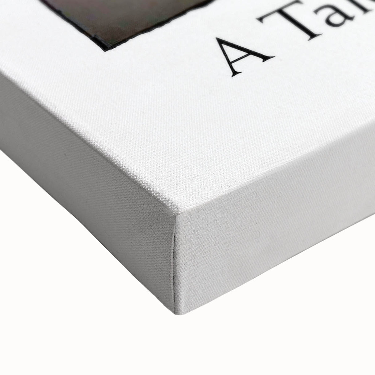 1990s Vintage Movie Poster - Classic 90s Film Art - A Tale of Winter