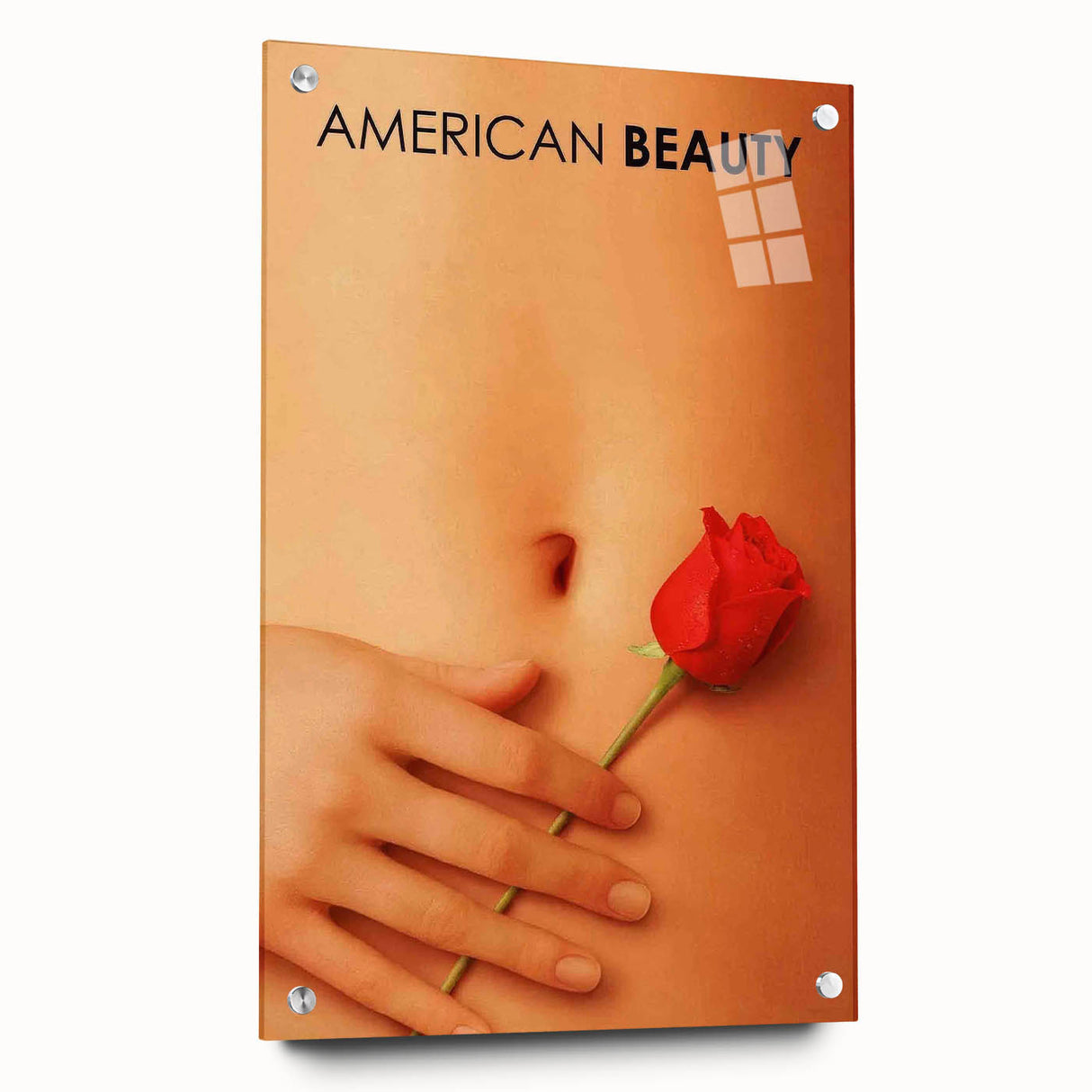 1990s Vintage Movie Poster – American Beauty Classic 90s Film Art