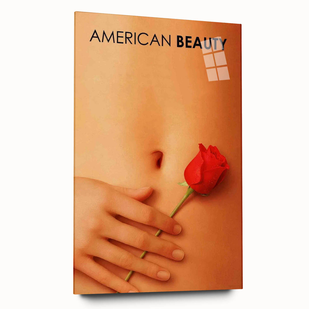 1990s Vintage Movie Poster – American Beauty Classic 90s Film Art