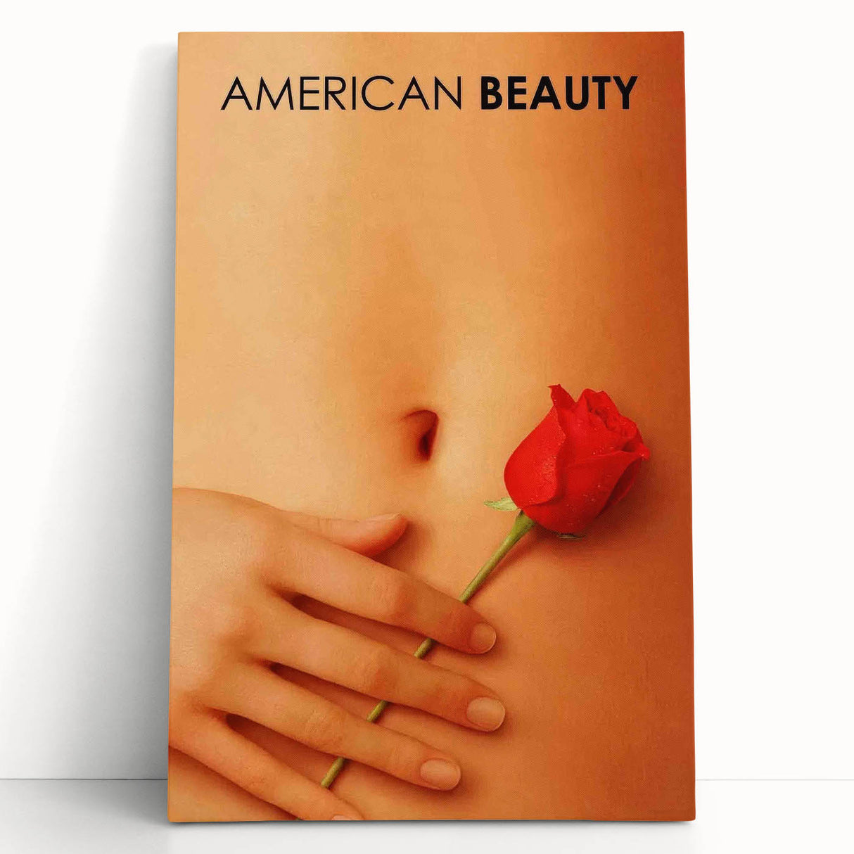1990s Vintage Movie Poster – American Beauty Classic 90s Film Art