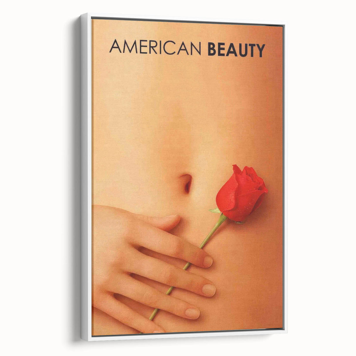 1990s Vintage Movie Poster – American Beauty Classic 90s Film Art