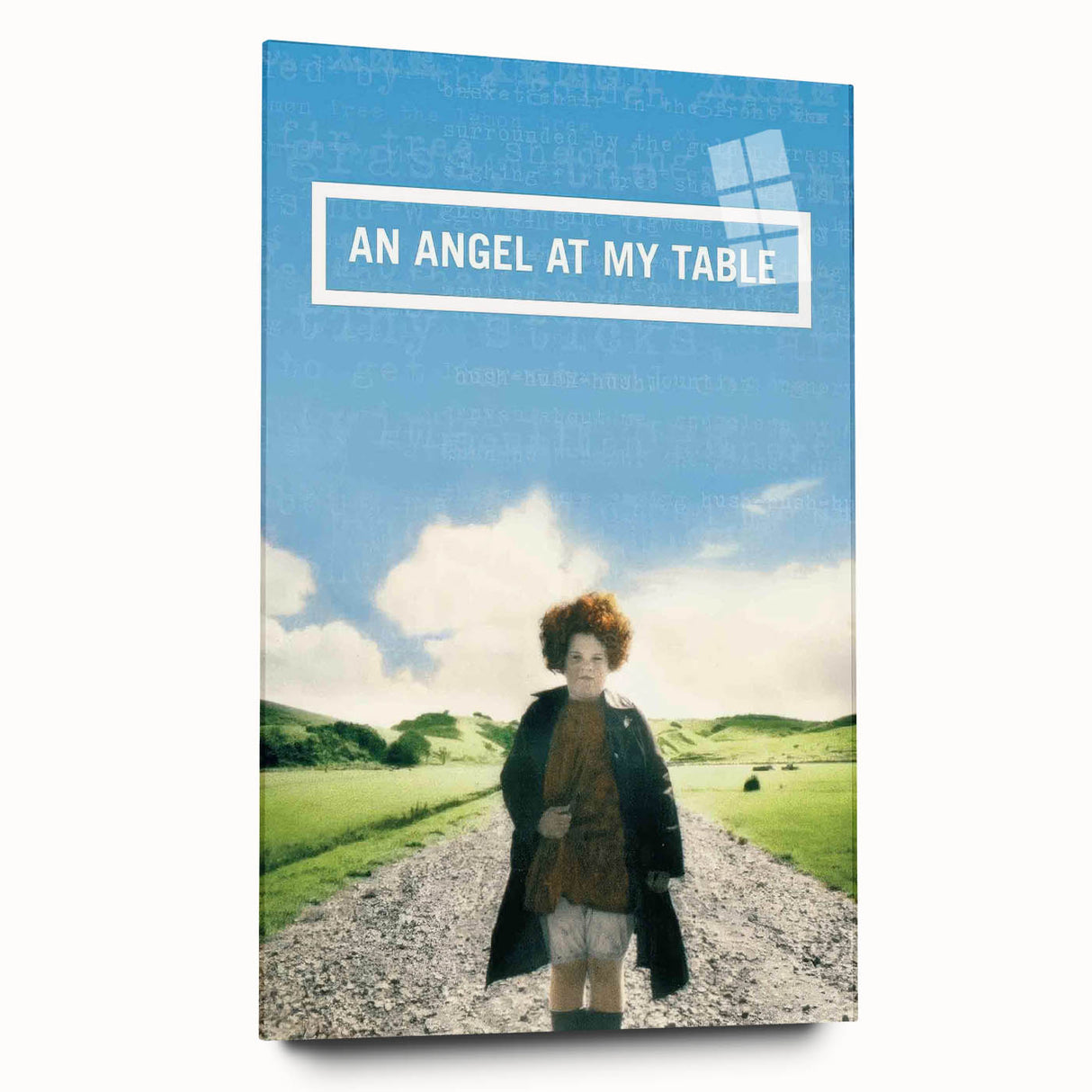 1990s Vintage Movie Poster – An Angel at My Table Retro Film Art